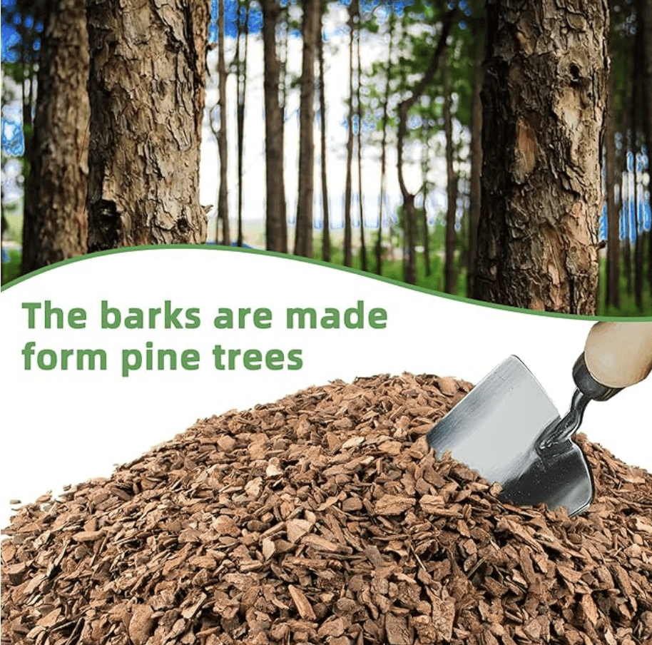 植物🌳冬季❄️要如何保暖呢？🧣