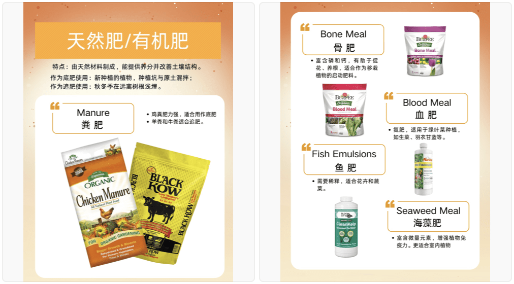 种植新手必读，各种肥料如何使用❓❓❓