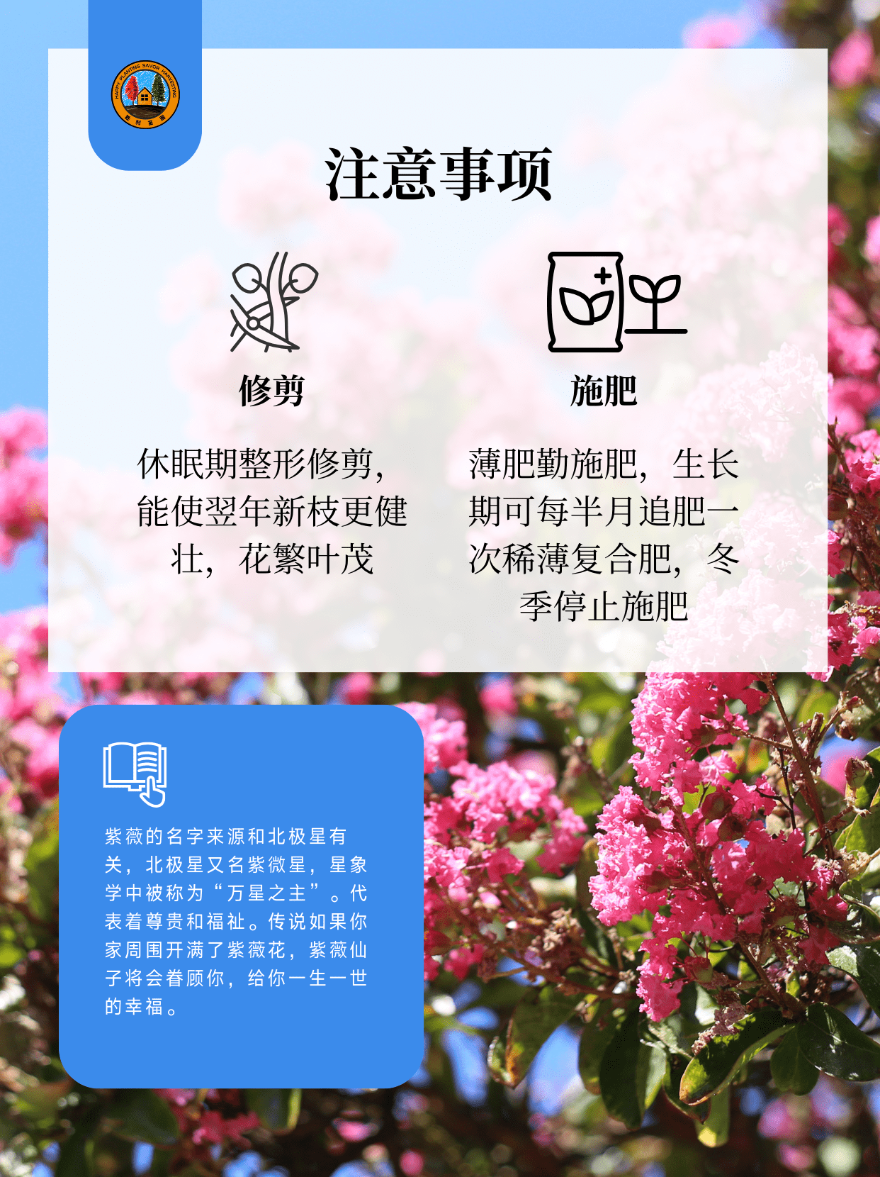 紫薇树 (o^^o)前院🏡宜栽品种