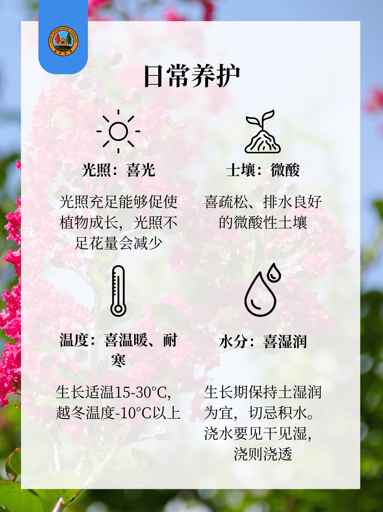 紫薇树 (o^^o)前院🏡宜栽品种
